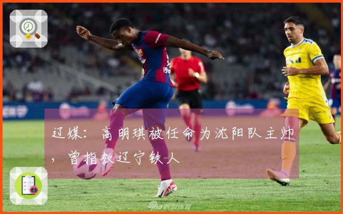 辽媒：高明琪被任命为沈阳队主帅，曾指教辽宁铁人