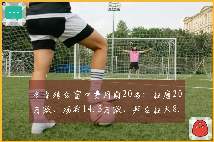 冬季转会窗口费用前20名：拉唐20万欧、杨希14.3万欧、拜合拉木8.05万